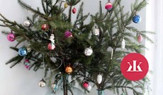 Alternatívne vianočné stromčeky: Necháš sa inšpirovať niečím iným? - KAMzaKRASOU.sk